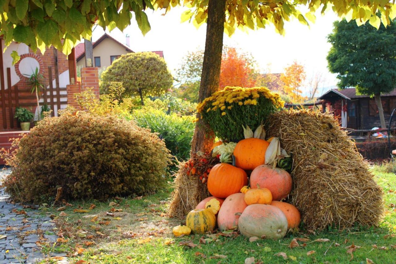 Bed and Breakfast Horizont Panzio Odorheiu Secuiesc Exterior foto